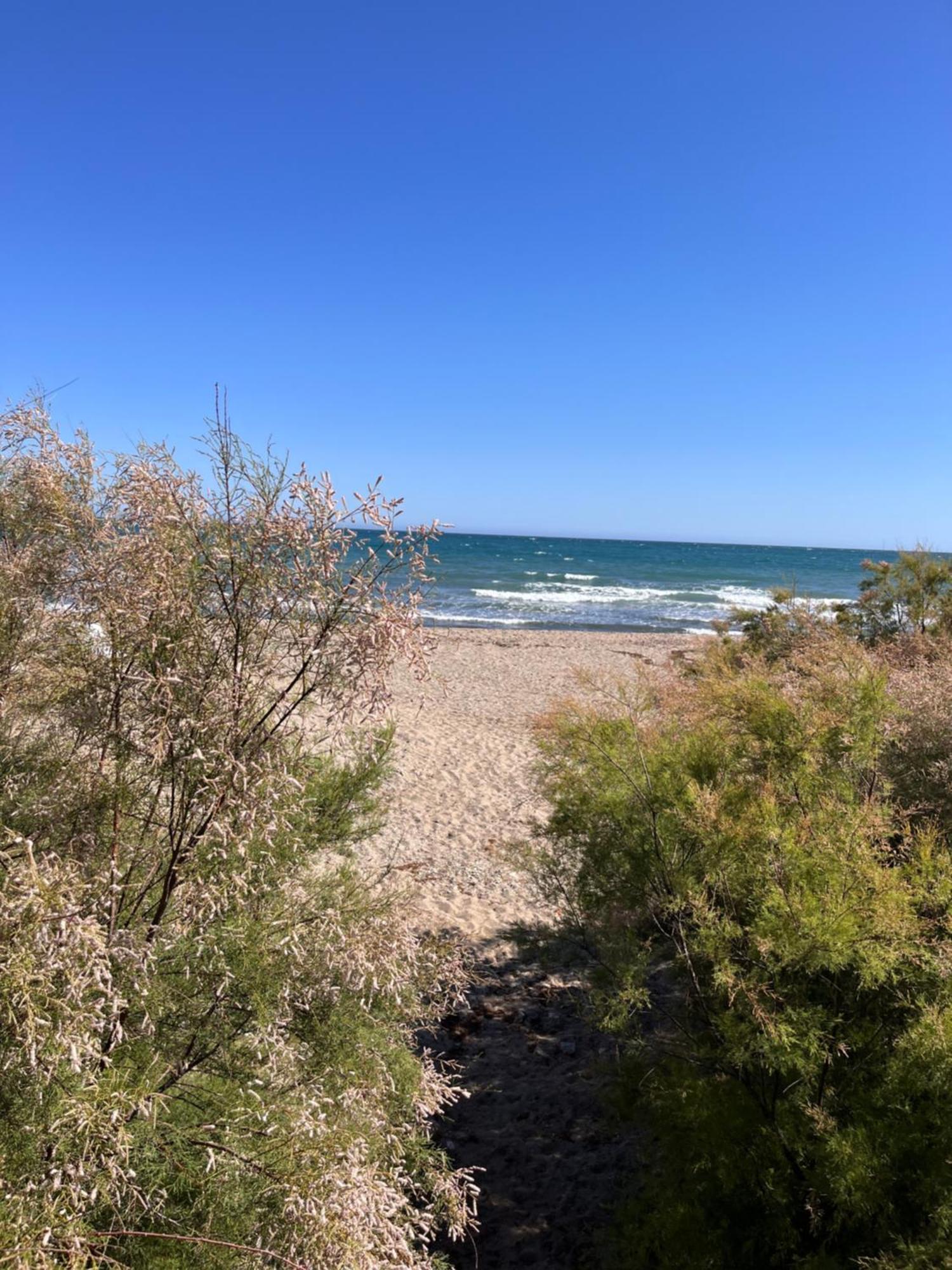 Studio On The Beach Front Μάλαγα Εξωτερικό φωτογραφία